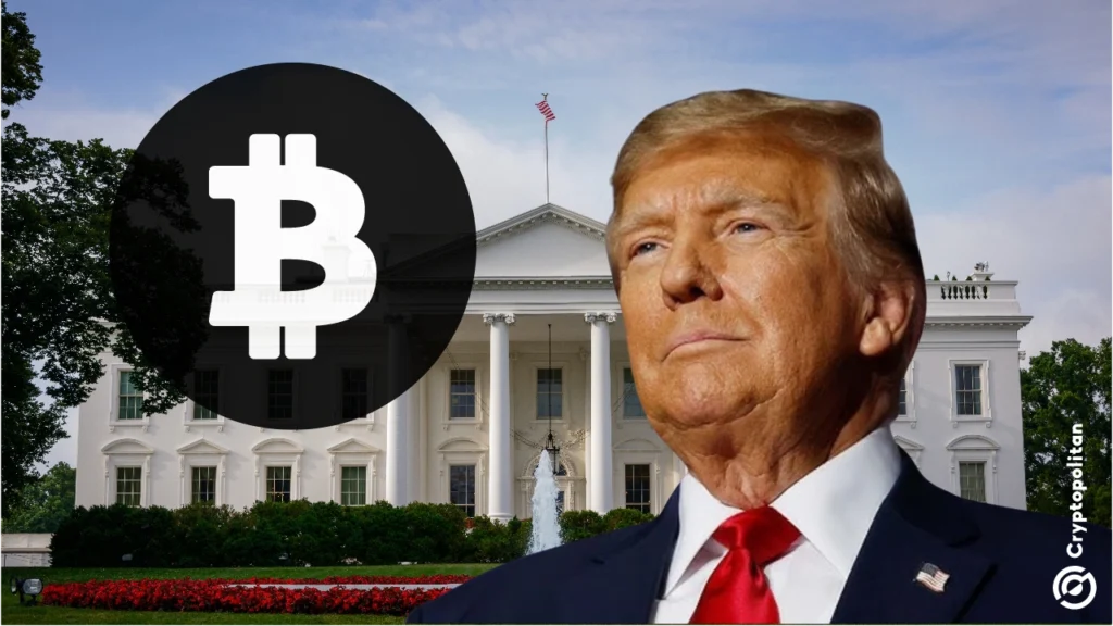 Trump’s White House crypto summit to chart New U.S. digital asset policy, industry leaders say.