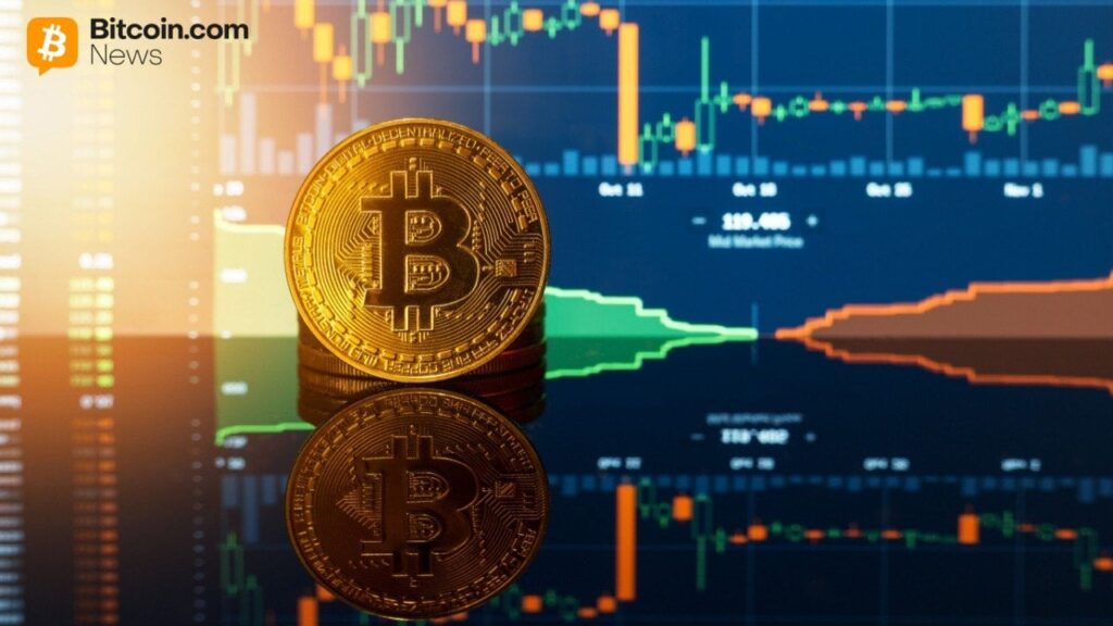 Diamond Hands Win: 85% of Bitcoin Holders Stood Firm Through the February Dip Diamond Hands Win: 85% of Bitcoin Holders Stood Firm Through the February Dip